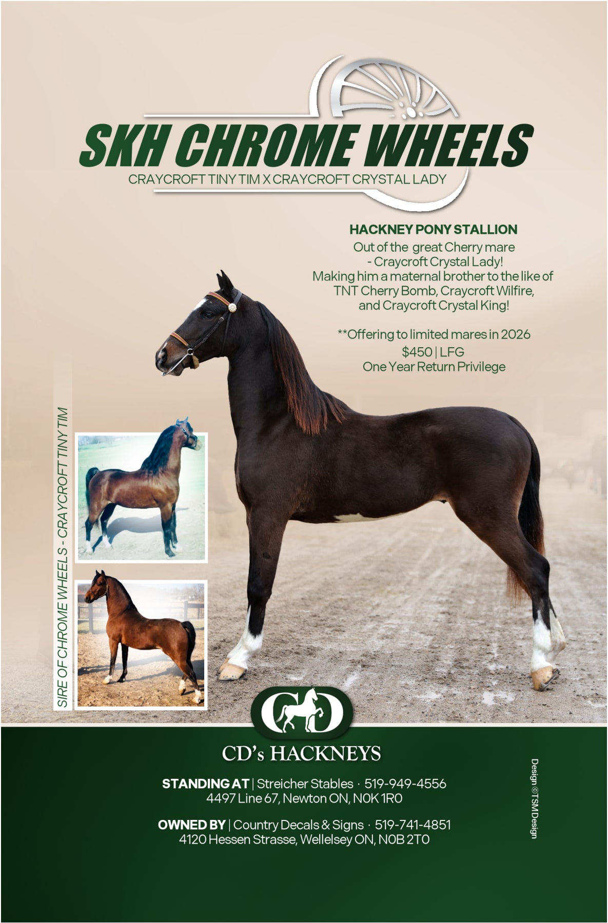 SKH Chrome Wheels stallion poster with pedigree and breeding information